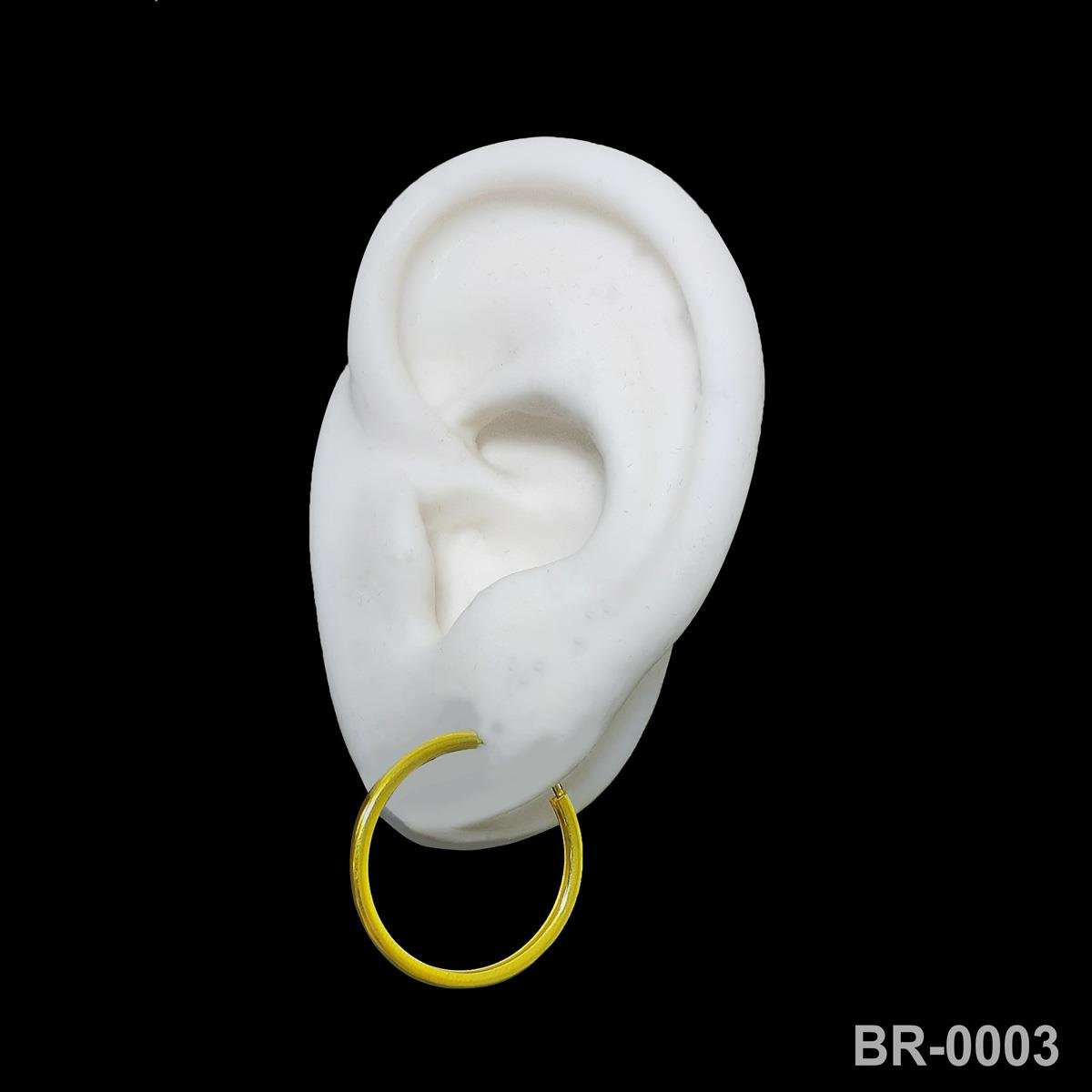 Brinco Argola Com Pino Passante (Sem Banho) 